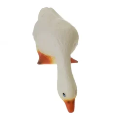 Anklampa tittar ner