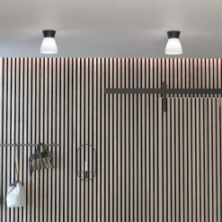 Bizzo plafond mattsvart/opalglas
