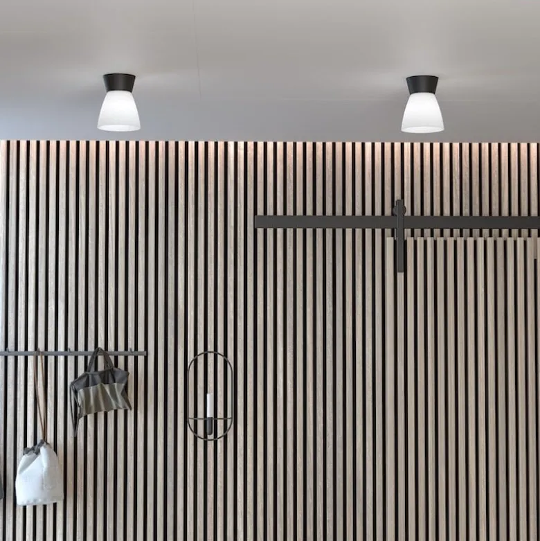 Bizzo plafond mattsvart/opalglas