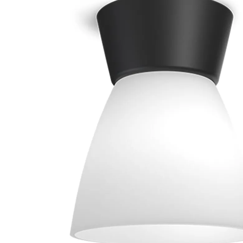 Bizzo plafond mattsvart/opalglas