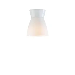 Bizzo plafond vit/opalt glas