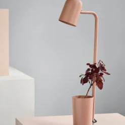 Buddy Bordslampa varm beige