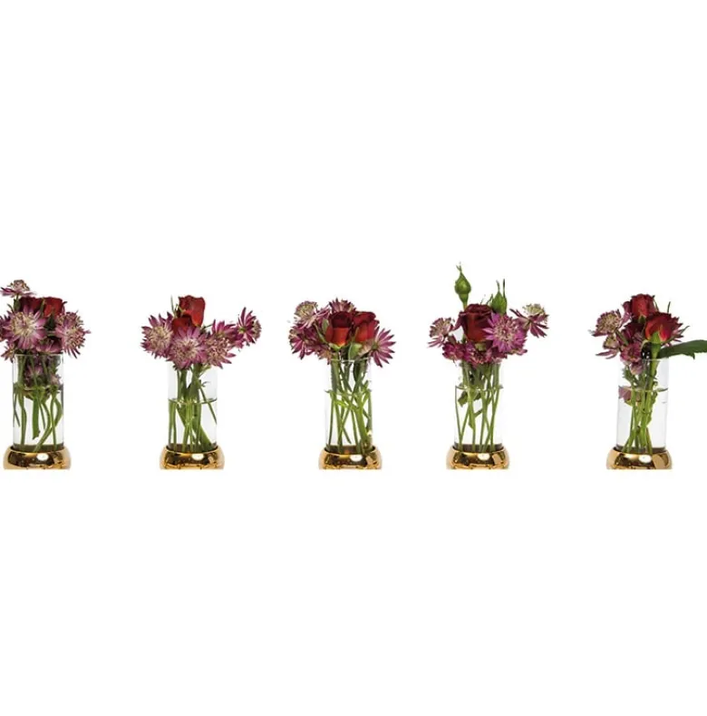 Constella insats vas 5-pack