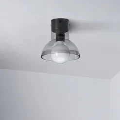 Down 18 plafond Svart/rökt glas