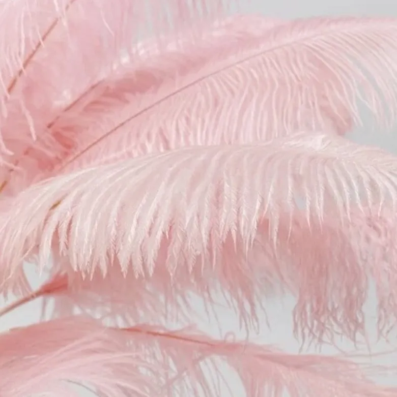 Feather Palm bordslampa rosa