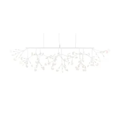 Heracleum III Linear white