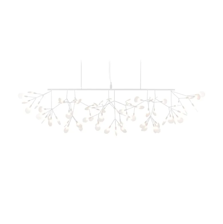Heracleum III Linear white