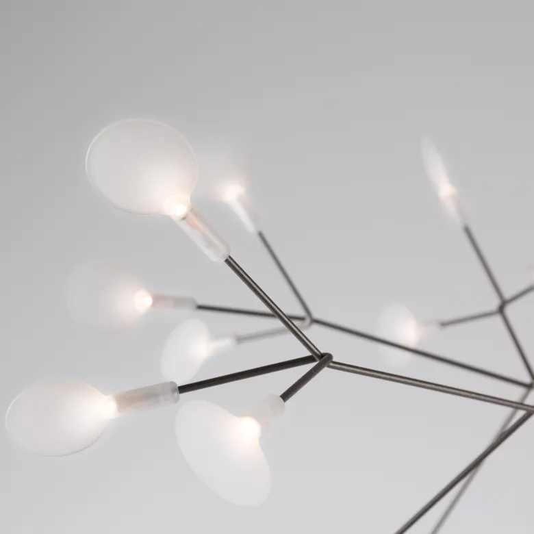 Heracleum III Suspended Small nickel