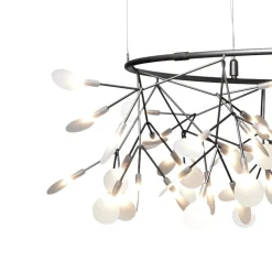 Heracleum III The Big O Small nickel