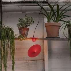 Île w153 bord-/klämlampa Poppy red