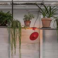 Île w153 bord-/klämlampa Poppy red