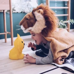 Lion First Light