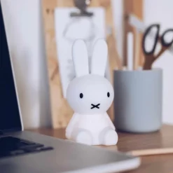 Miffy bundle of light