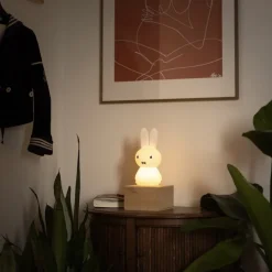 Miffy Shines