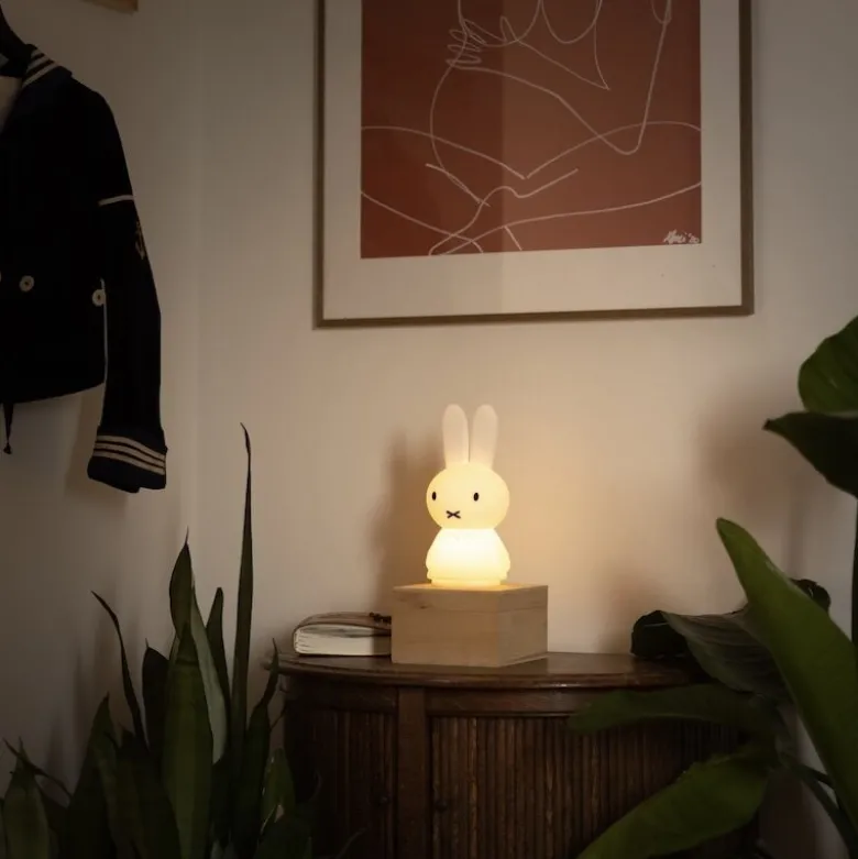 Miffy Shines