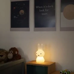 Miffy Shines