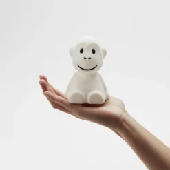 Monkey bundle of light