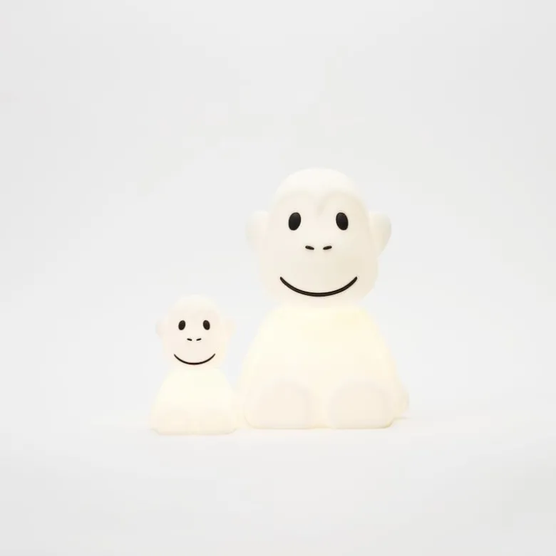 Monkey bundle of light