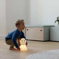 Monkey First Light