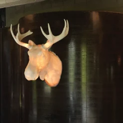 Moo Vägglampa