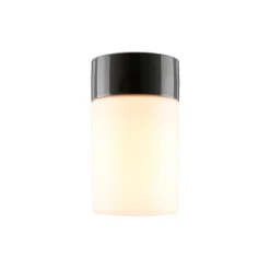 Opus 120/200 Taklampa/Vägglampa Grå IP54