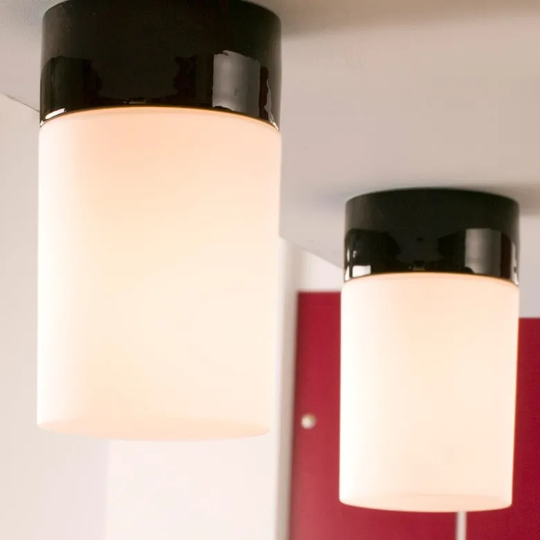 Opus 120/200 taklampa/vägglampa opalglas/svart IP54