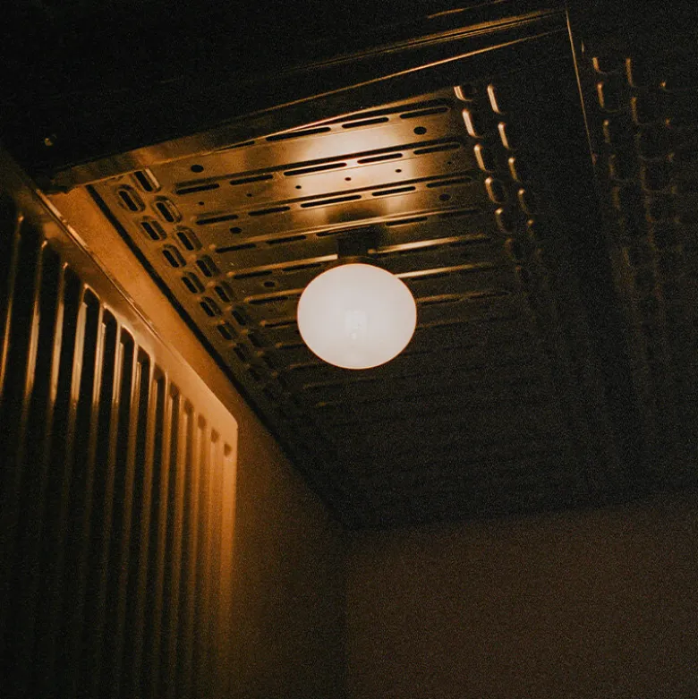 Ovoid Sconce plafond/vägglampa stainless steel