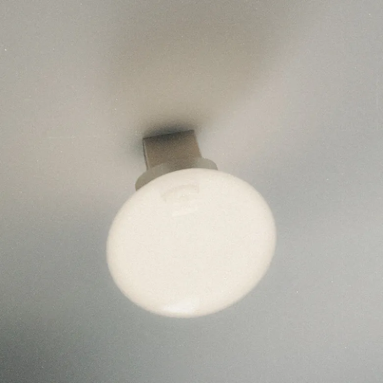Ovoid Sconce plafond/vägglampa stainless steel