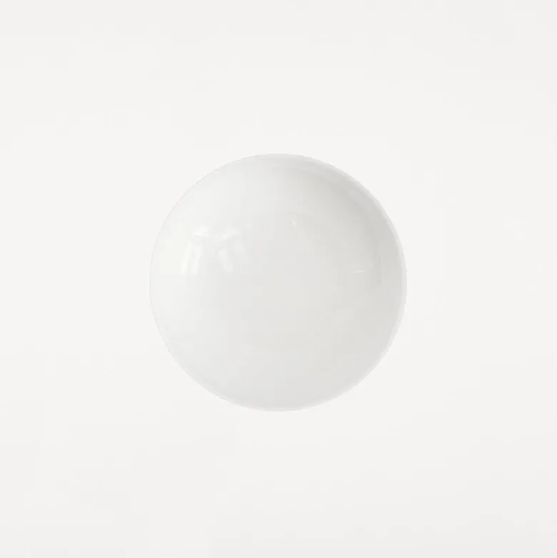 Ovoid Sconce plafond/vägglampa stainless steel