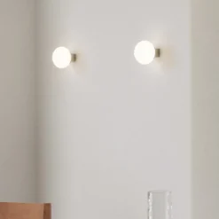 Ovoid Sconce plafond/vägglampa stainless steel