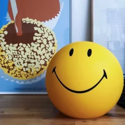 Smiley high light