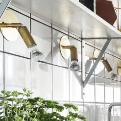 Star 1 platta tak-/vägglampa fast installation rå mässing