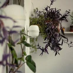 Wally Cectita vägglampa matt vitgrå