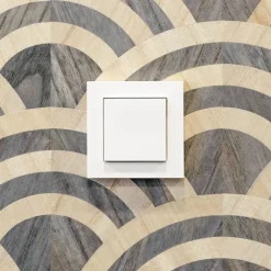 Wireless Wall Switch + Driver vit